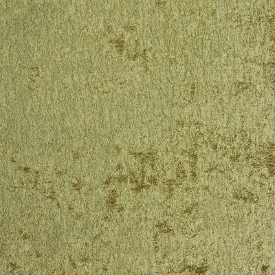 York Olive