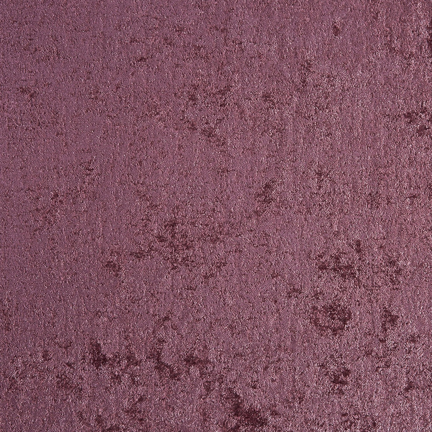 York Plum