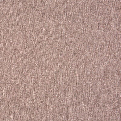 Nordic Rose