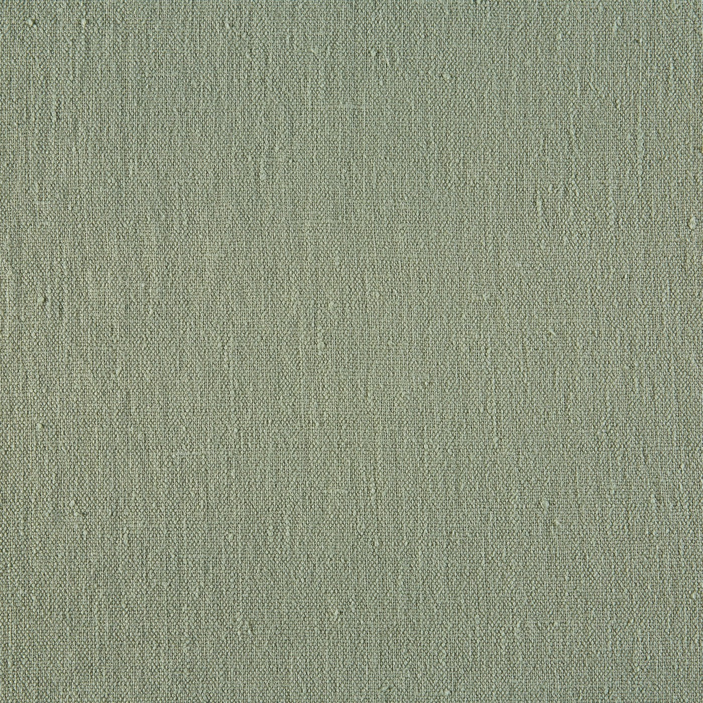 Nordic Willow