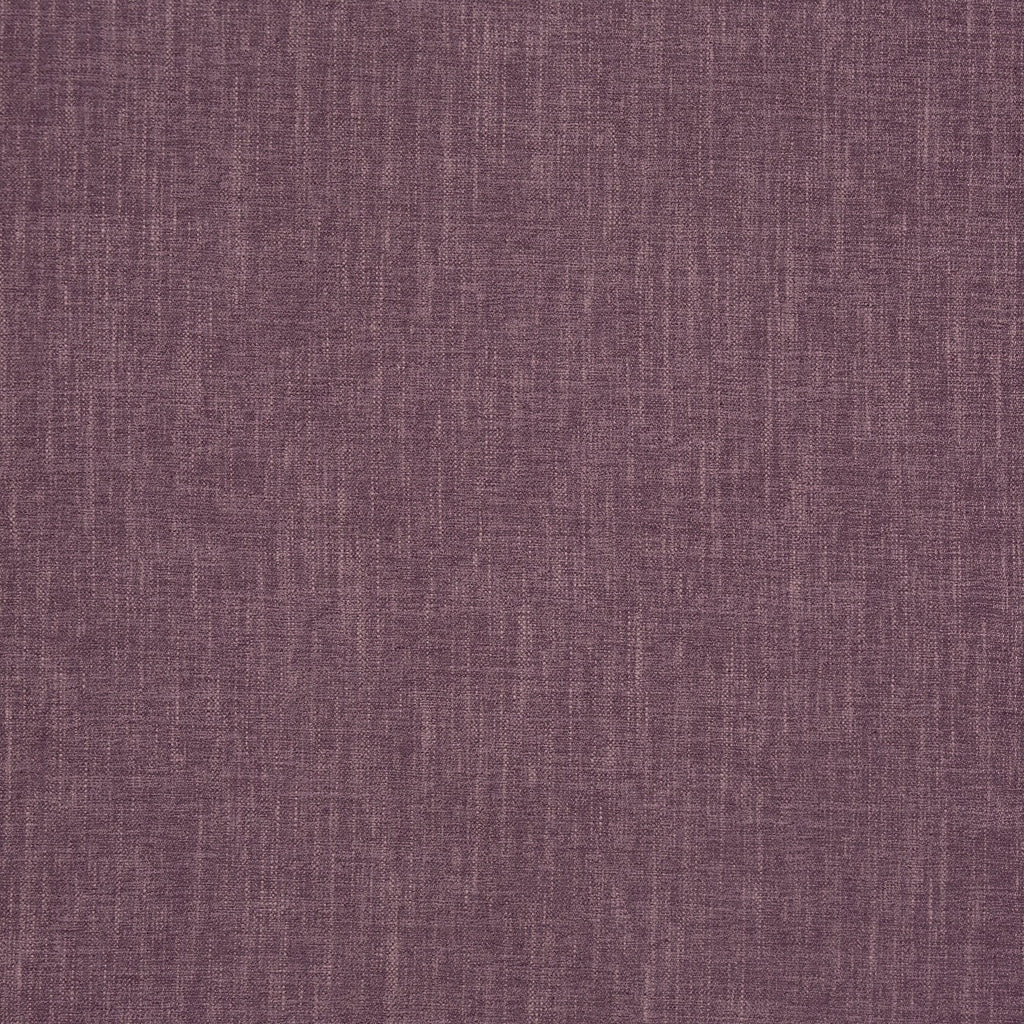 Kielder Heather