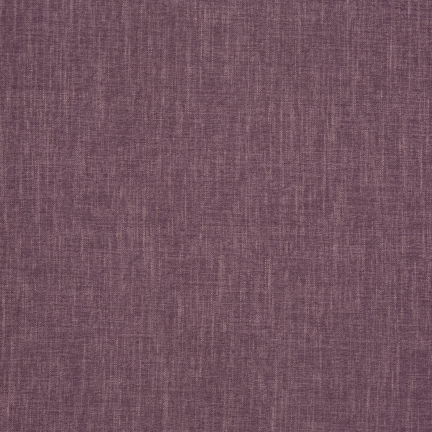 Kielder Heather