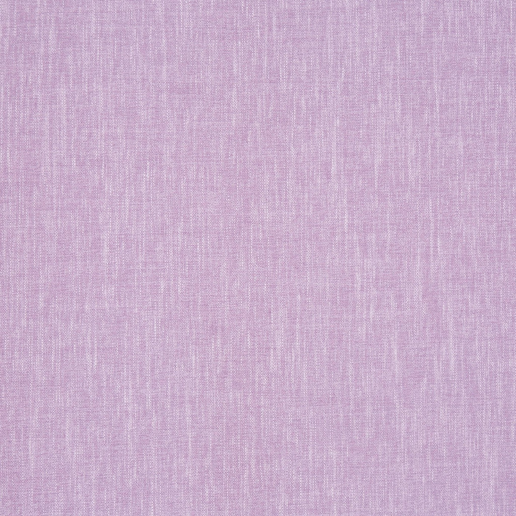 Kielder Lavender