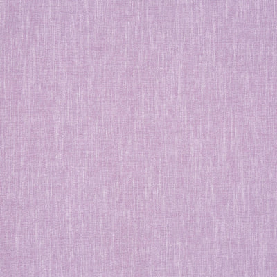 Kielder Lavender