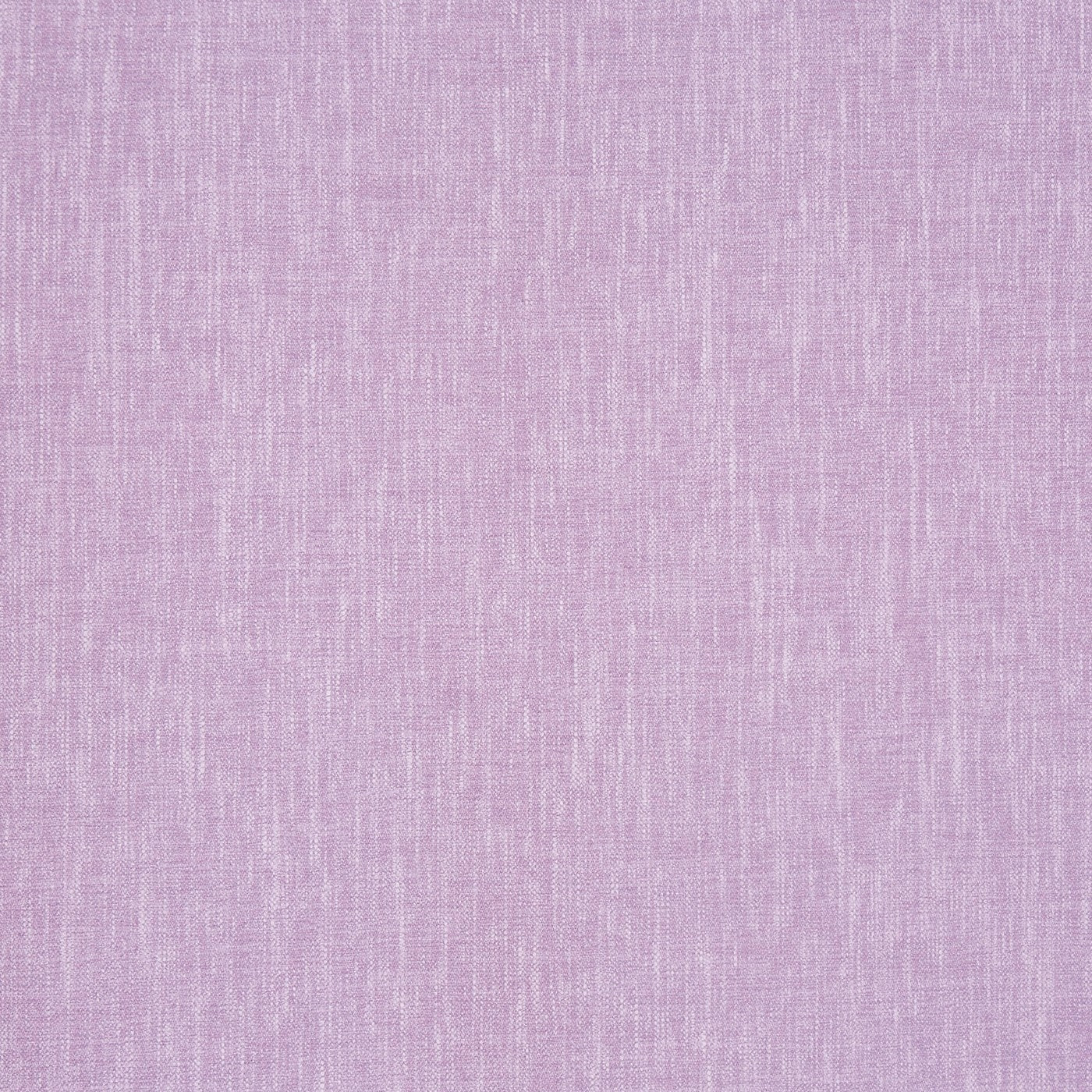 Kielder Lavender