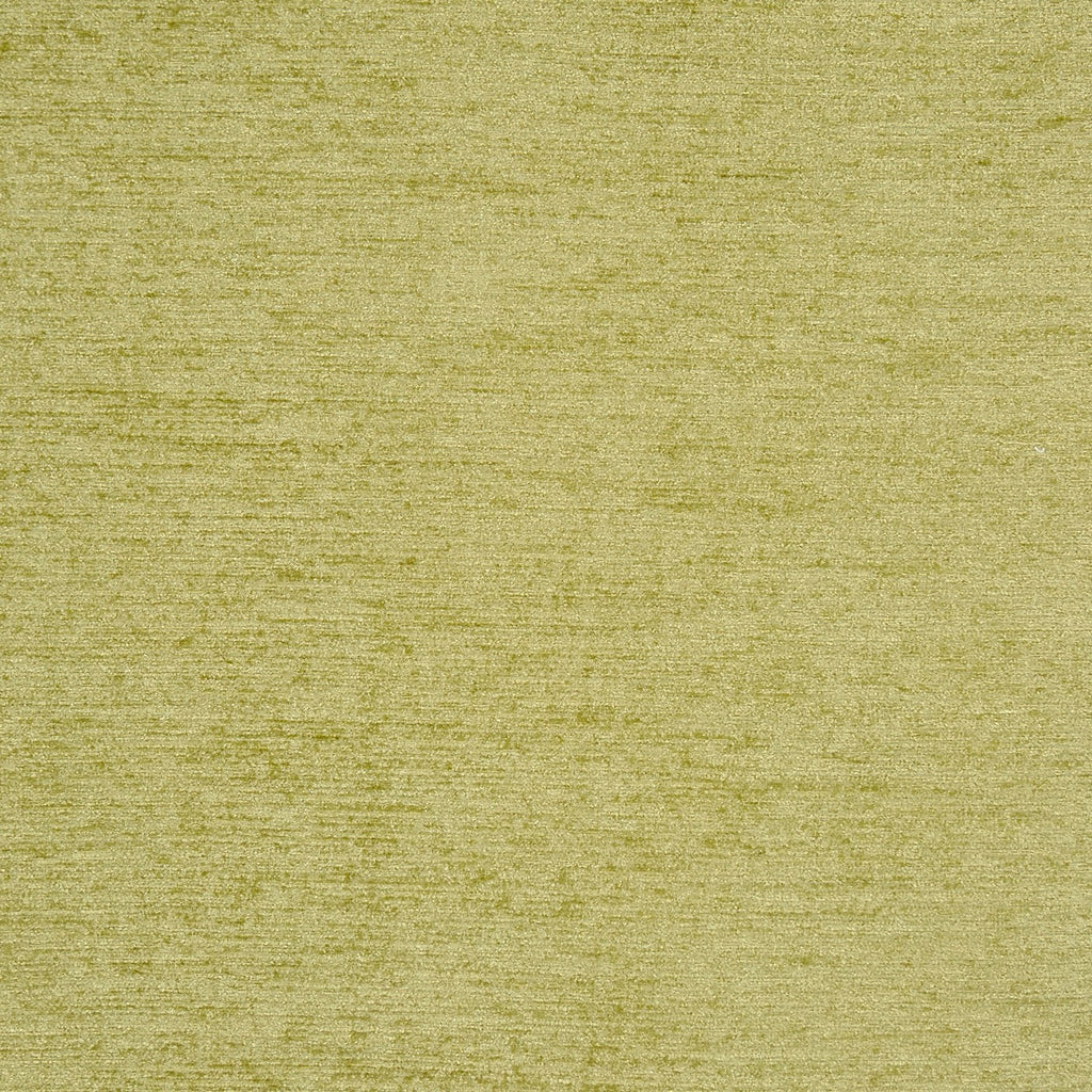 Anderson Wasabi