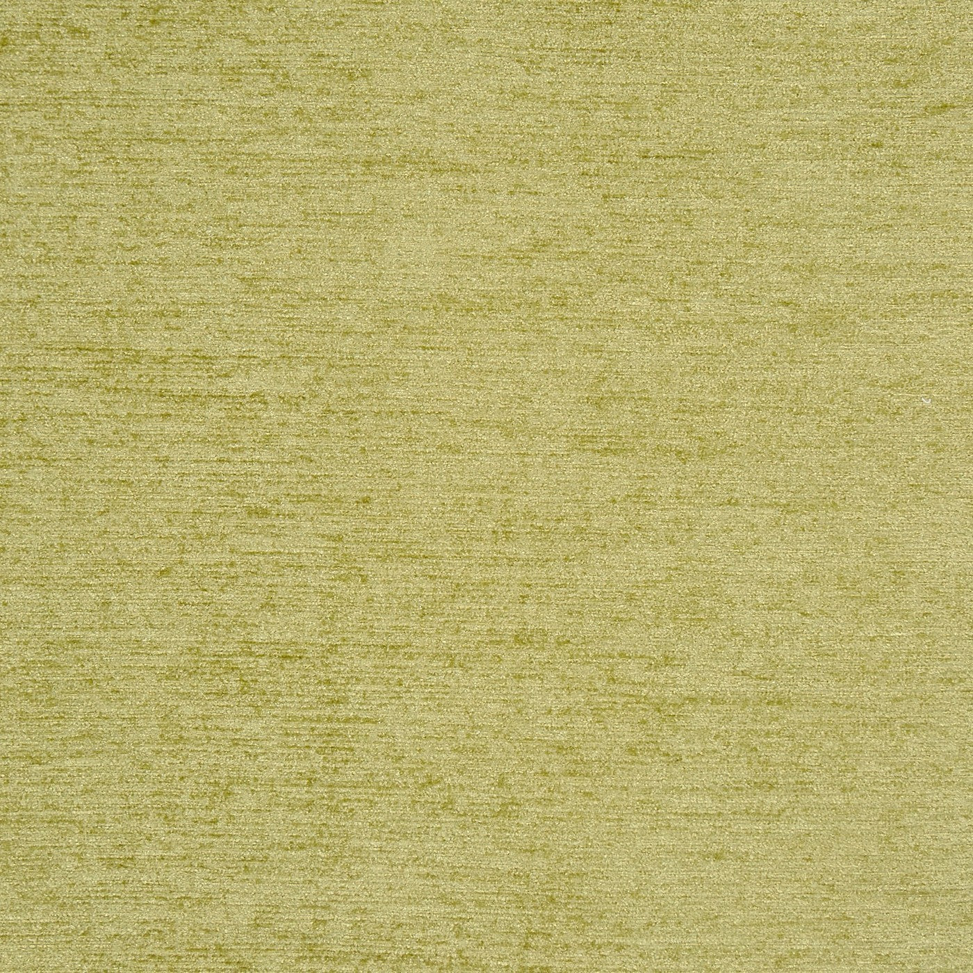 Anderson Wasabi