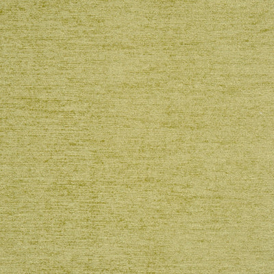 Anderson Wasabi