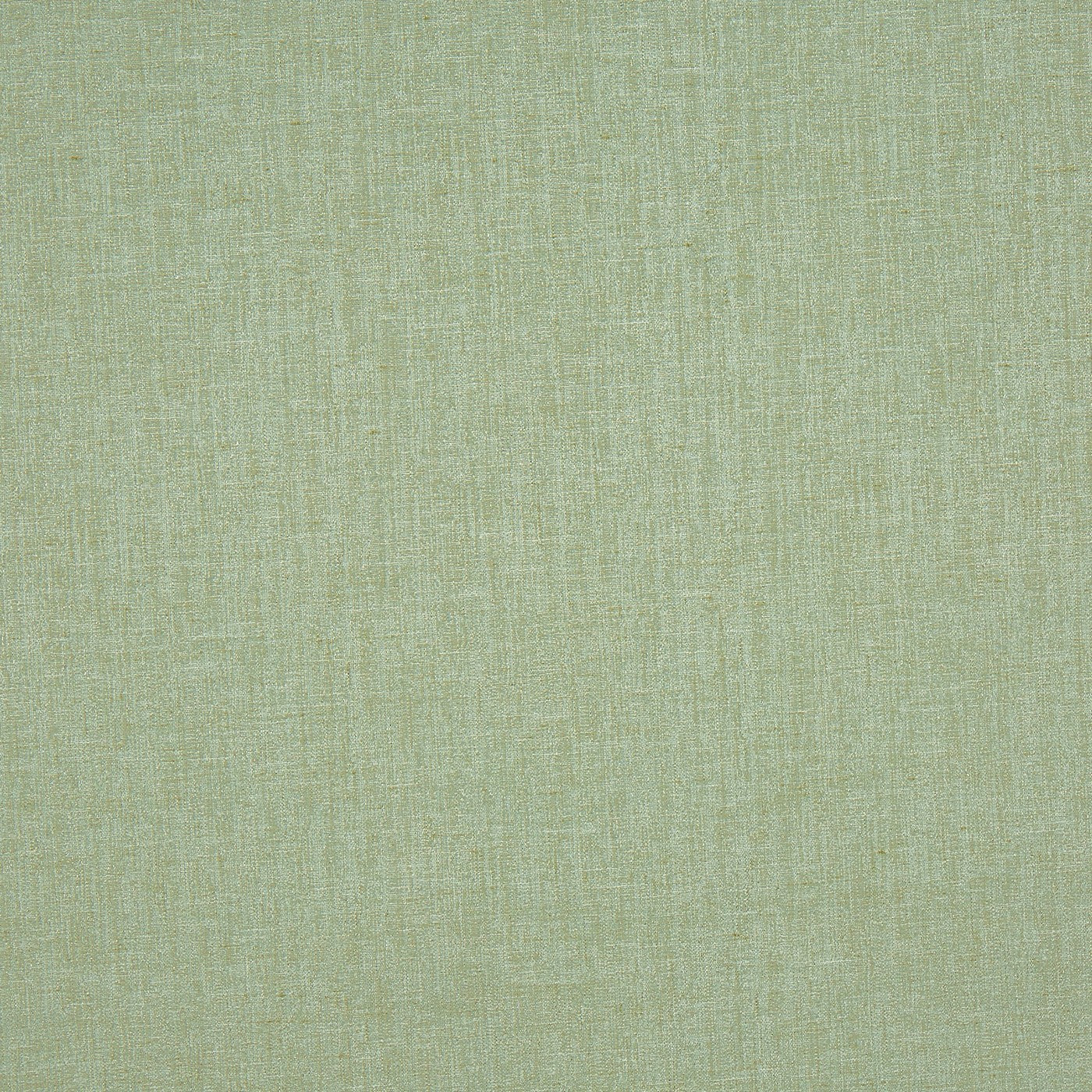 Nimbus Willow