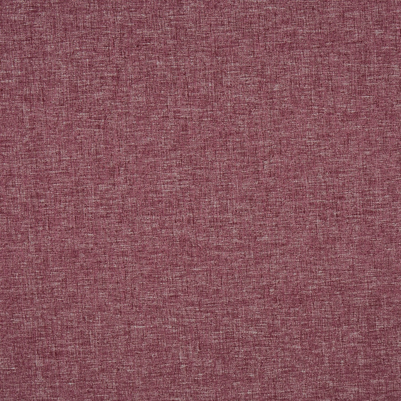 Nimbus Plum