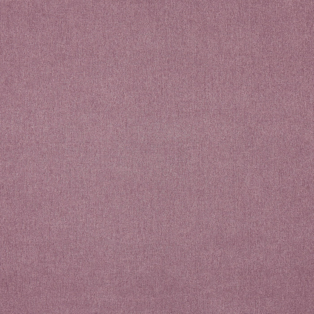 Buxton Heather