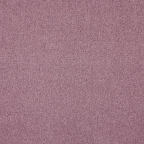 Buxton Heather