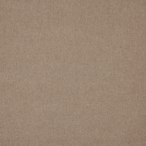 Buxton Cocoa