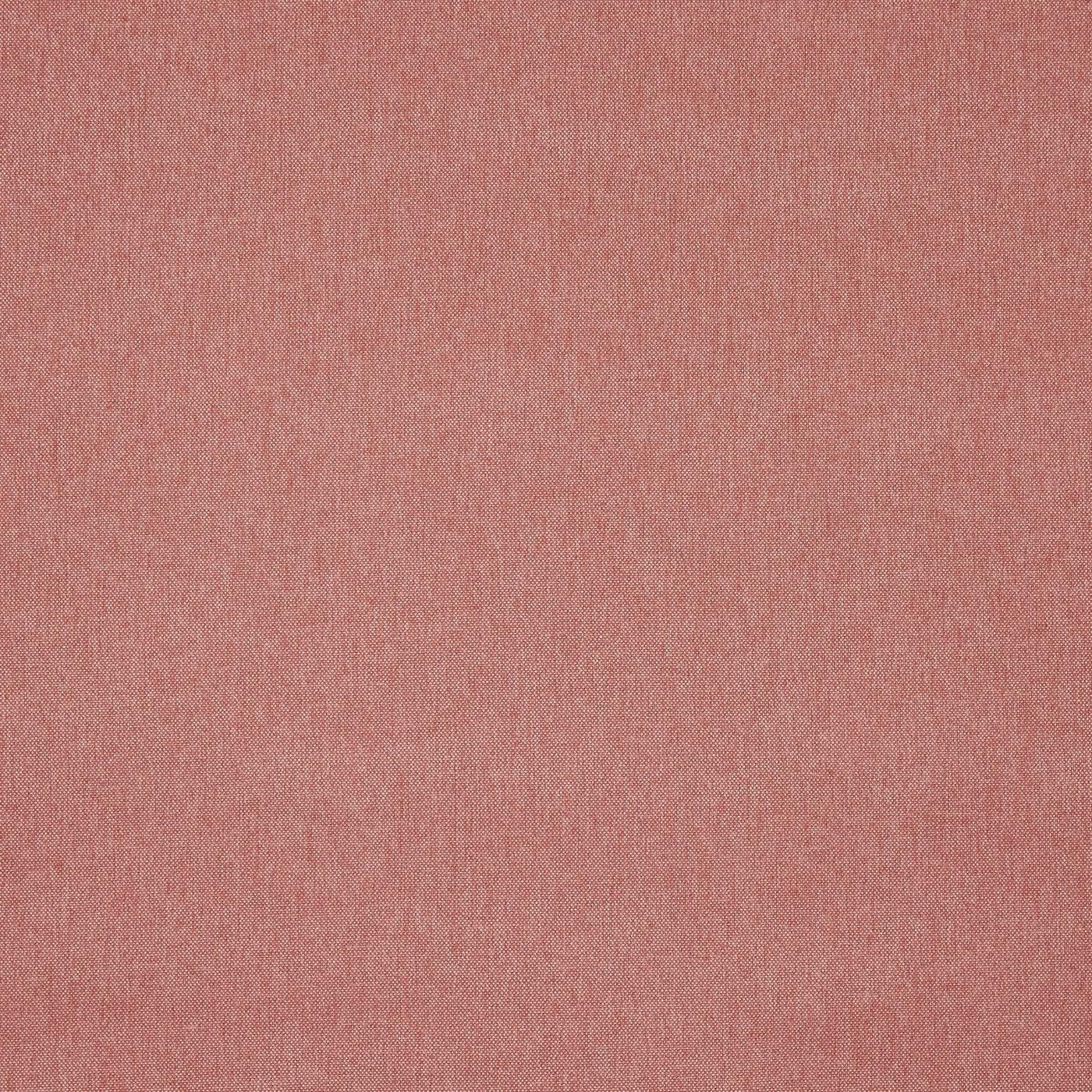 Buxton Rose
