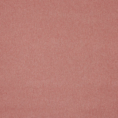 Buxton Rose