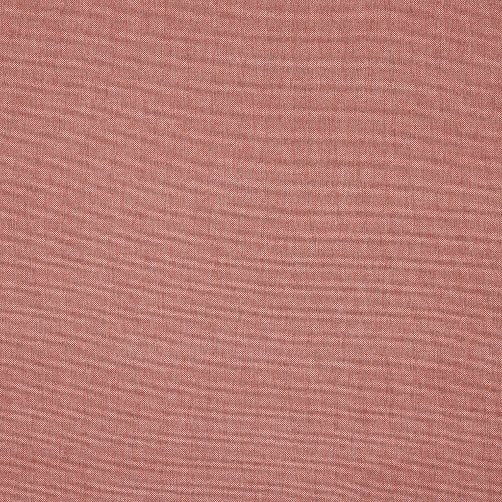 Buxton Rose