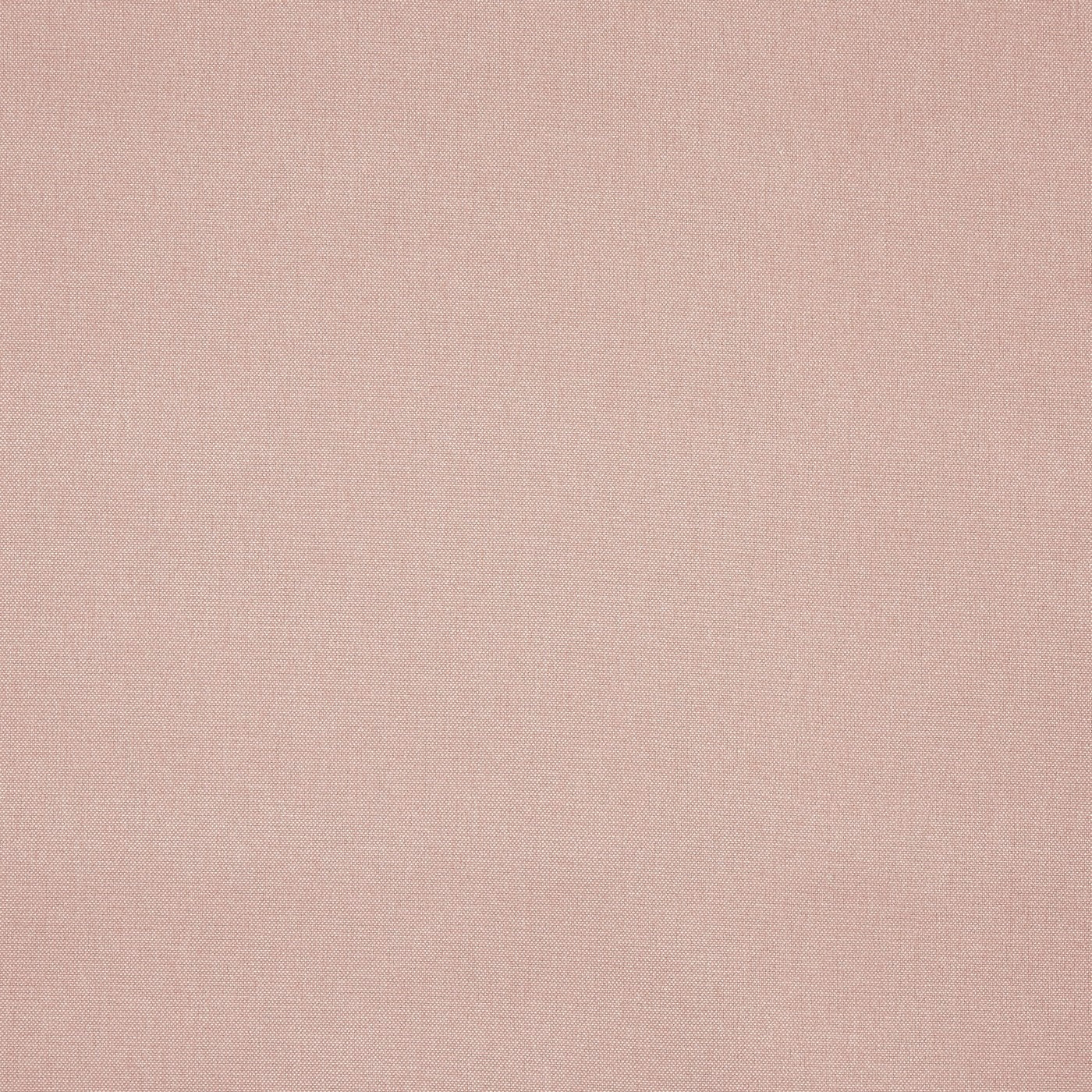 Buxton Blush