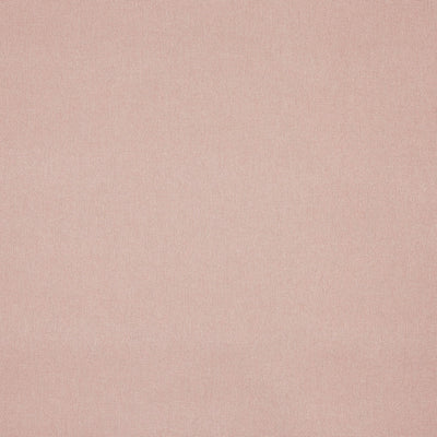 Buxton Blush