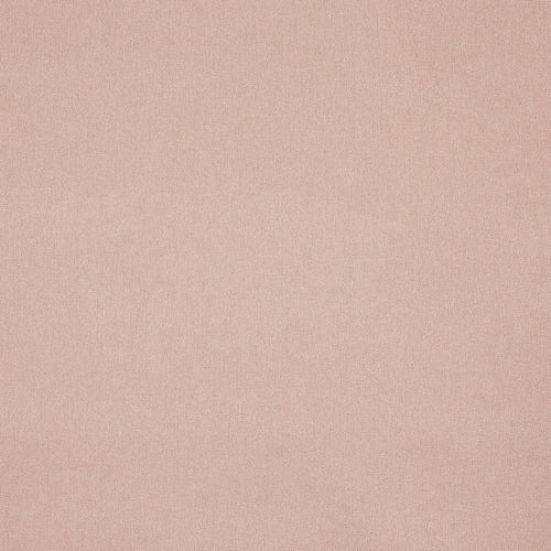 Buxton Blush