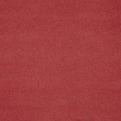 Buxton Paprika