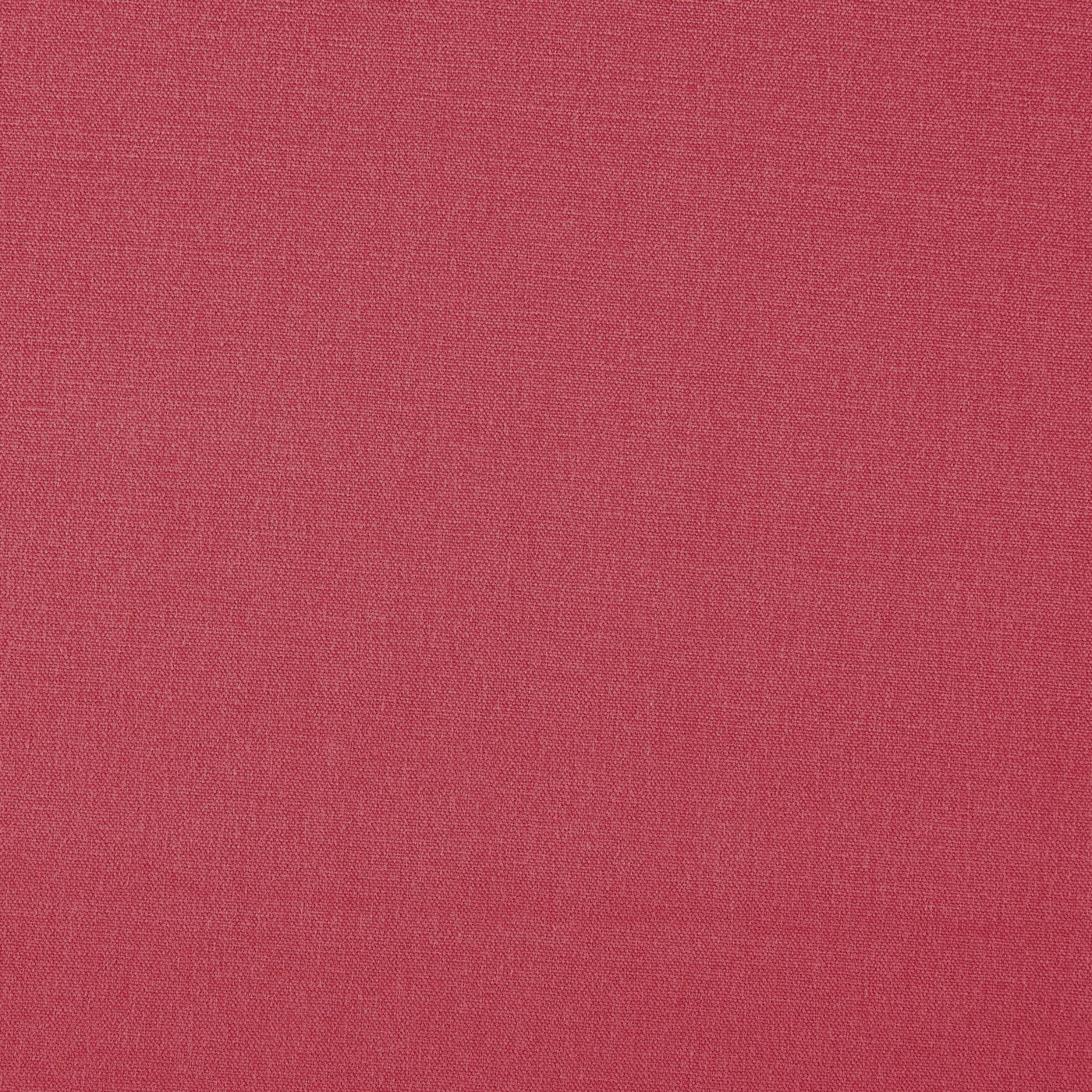 Style Raspberry