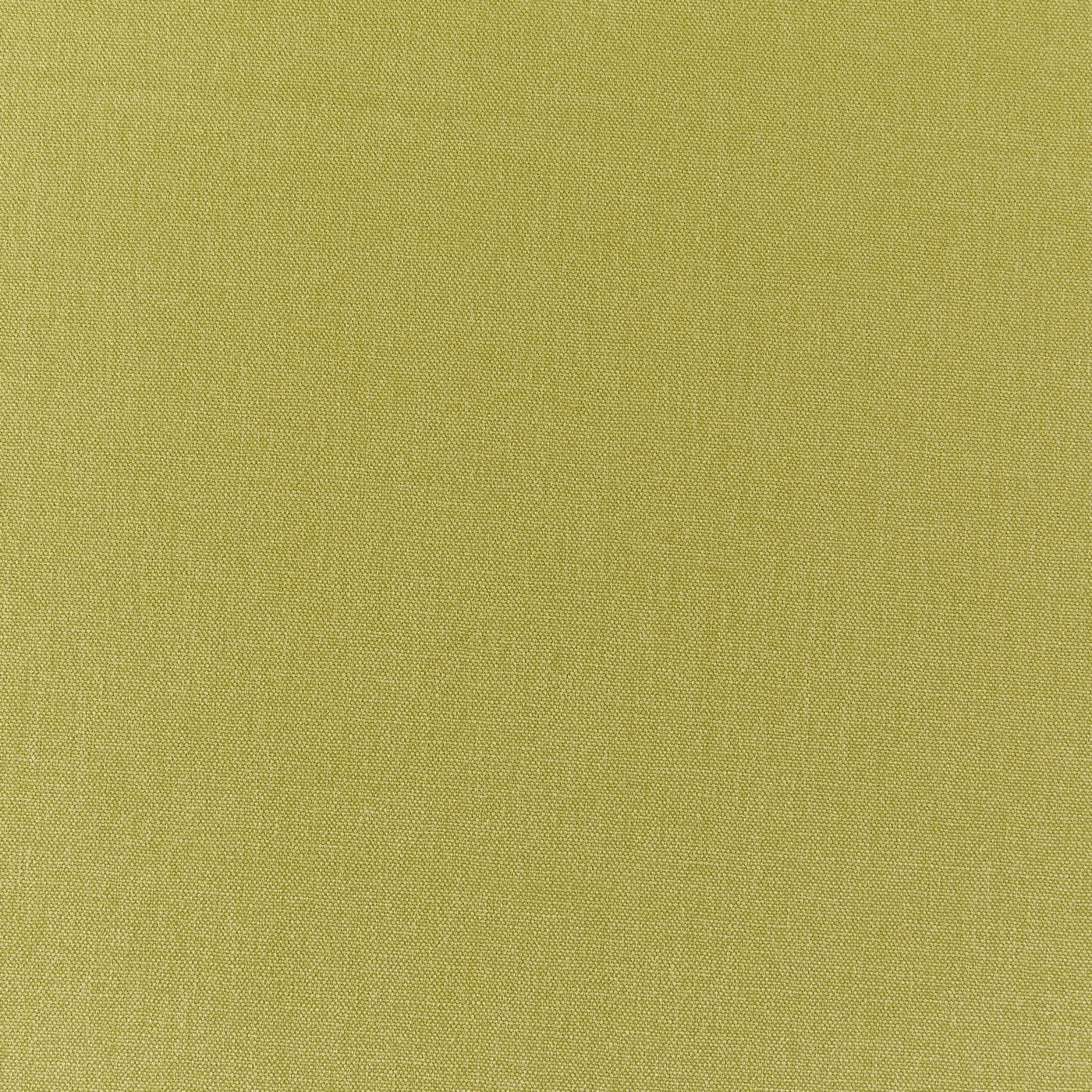 Style Kiwi