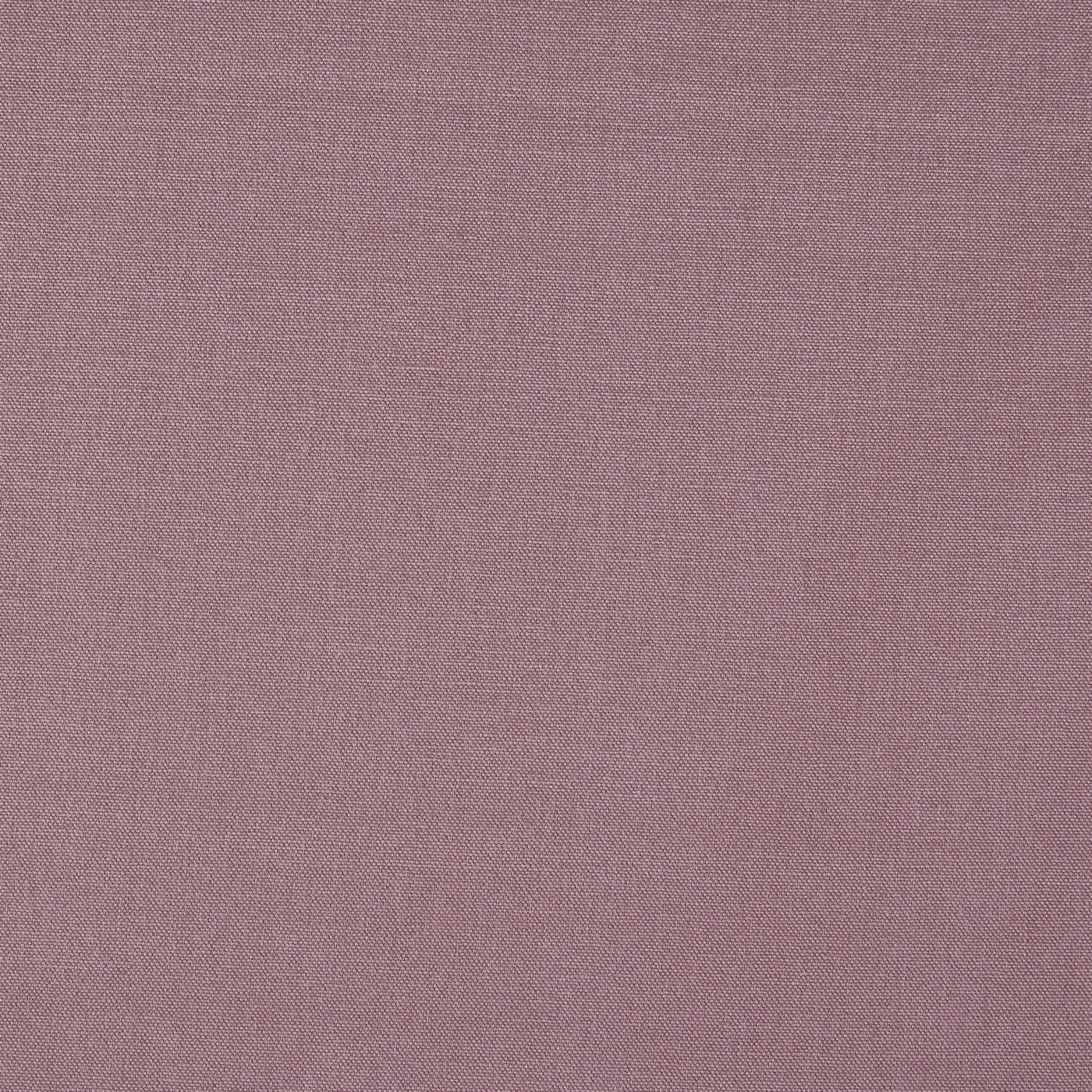 Style Lavender