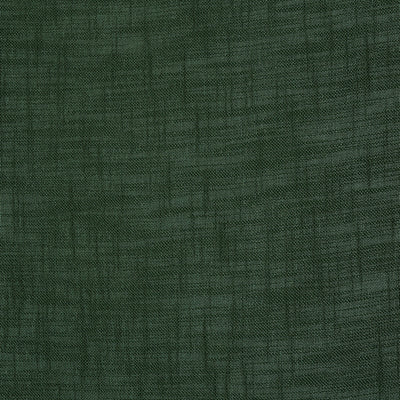Harmony Forest