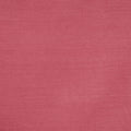 Snowdon Rose