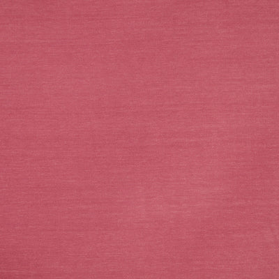 Snowdon Rose