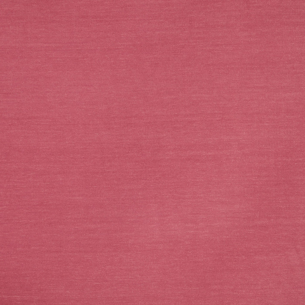 Snowdon Rose