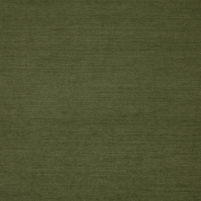Snowdon Moss