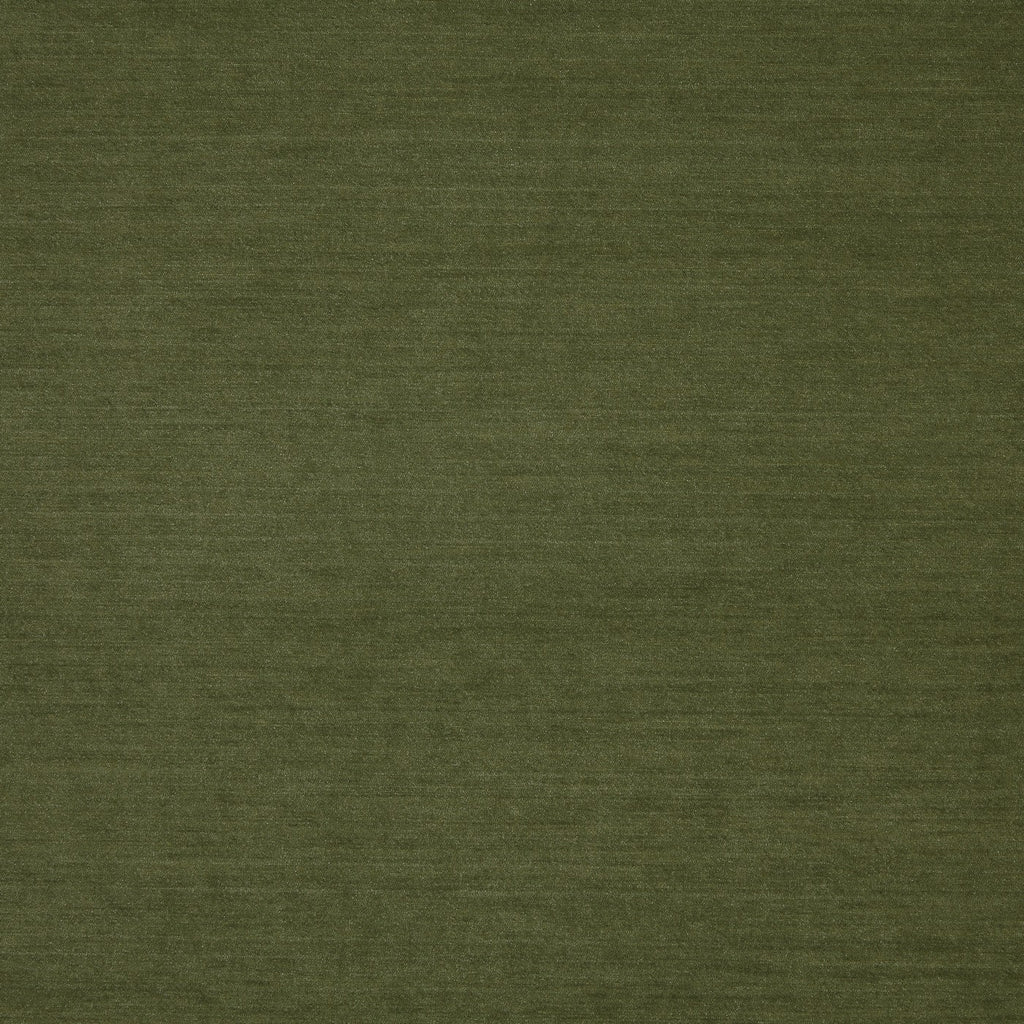 Snowdon Moss