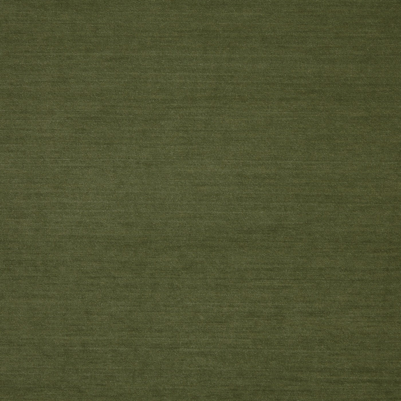 Snowdon Moss