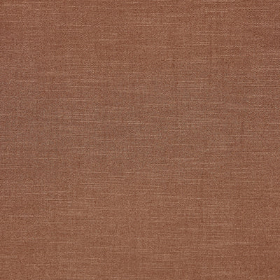 Lisbon Nutmeg