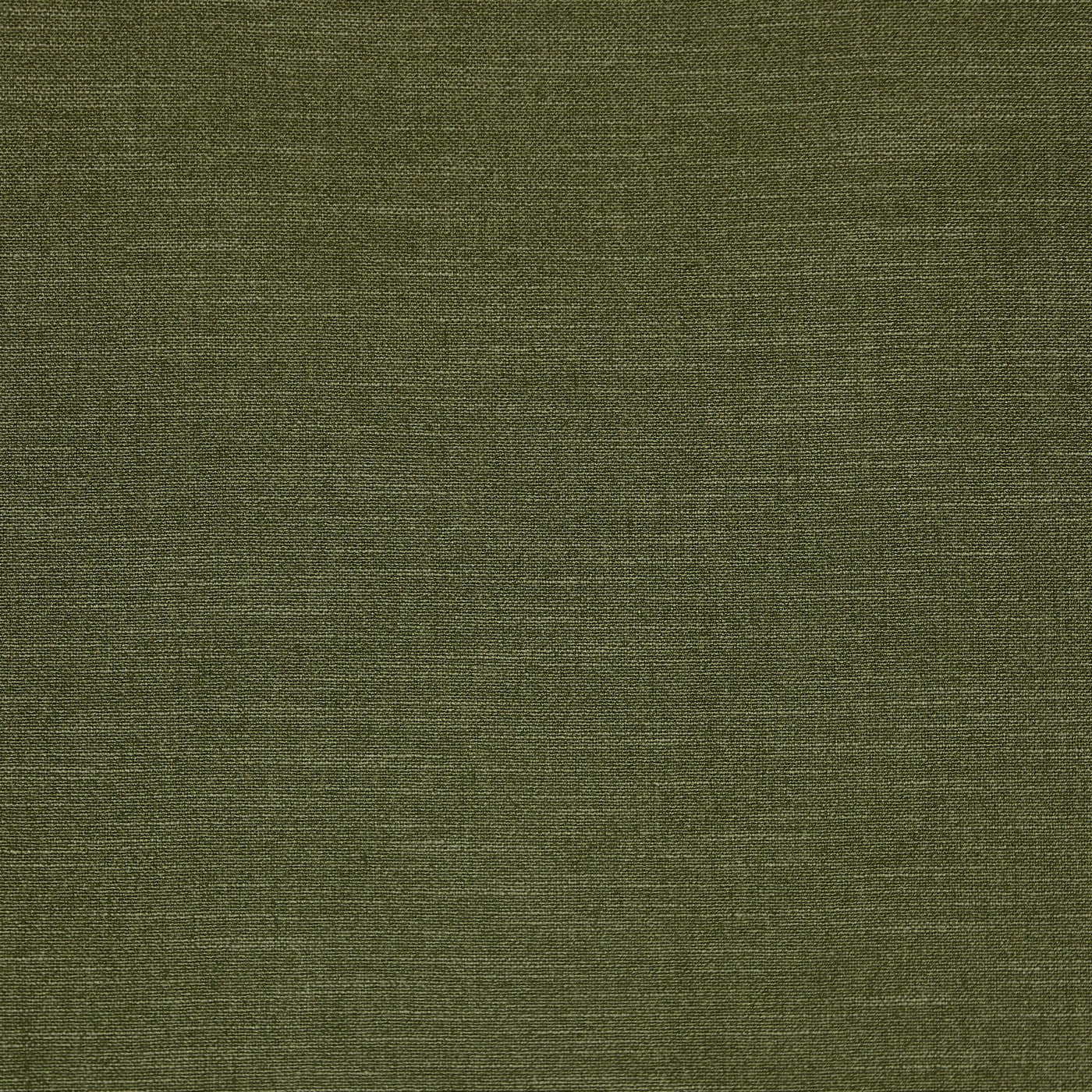 Lisbon Forest