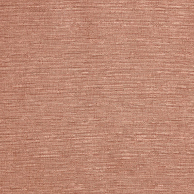 Java Coral