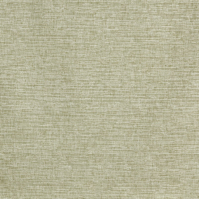 Java Palm