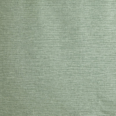 Java Willow