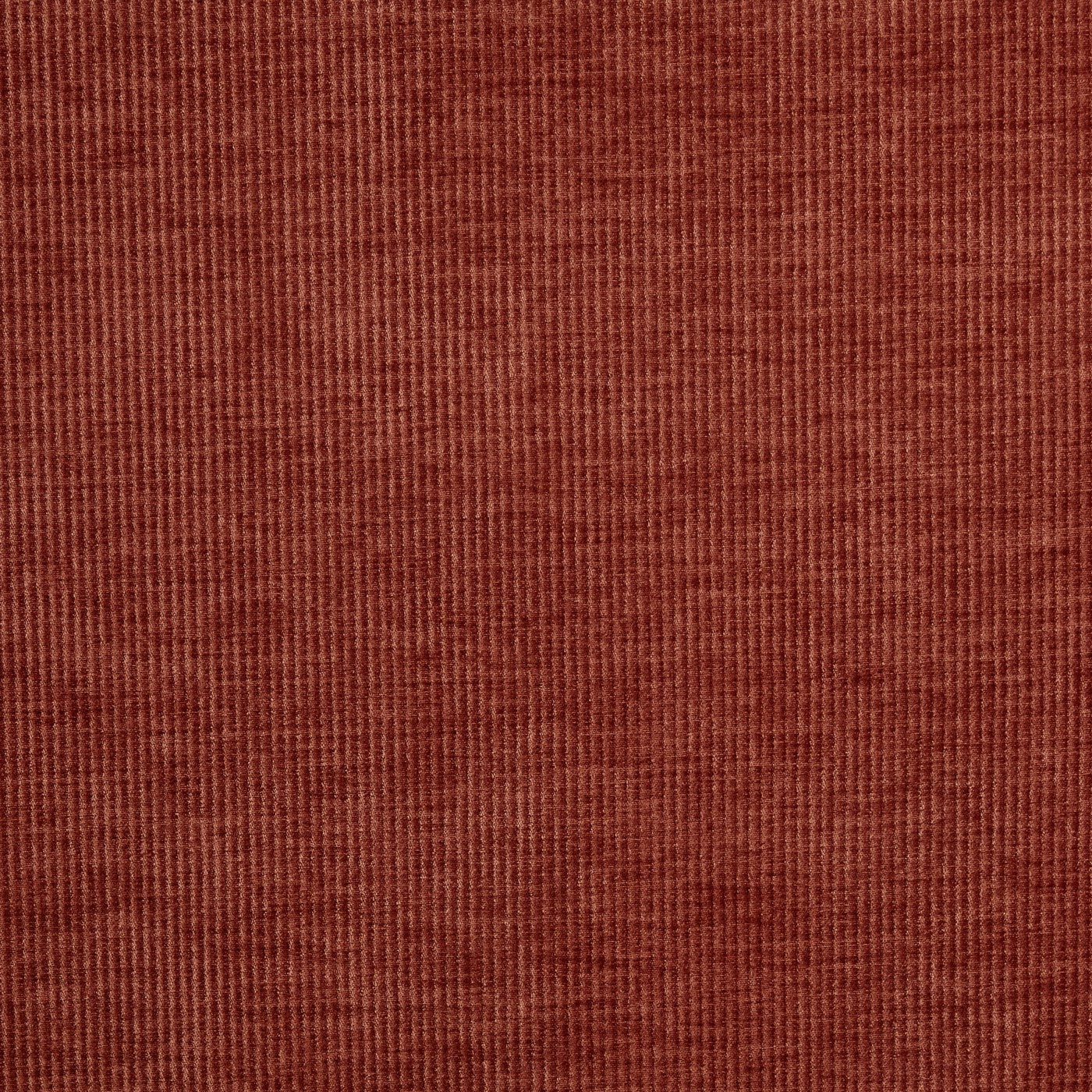 Cord Spice