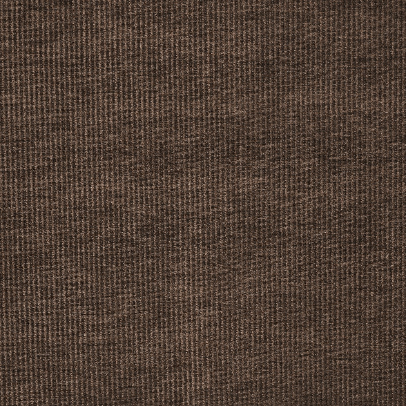 Cord Cocoa