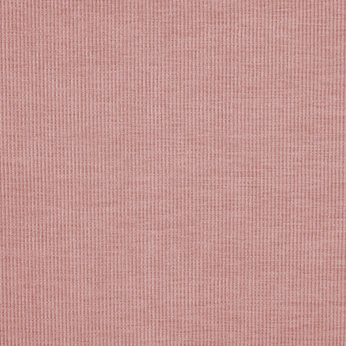 Cord Petal