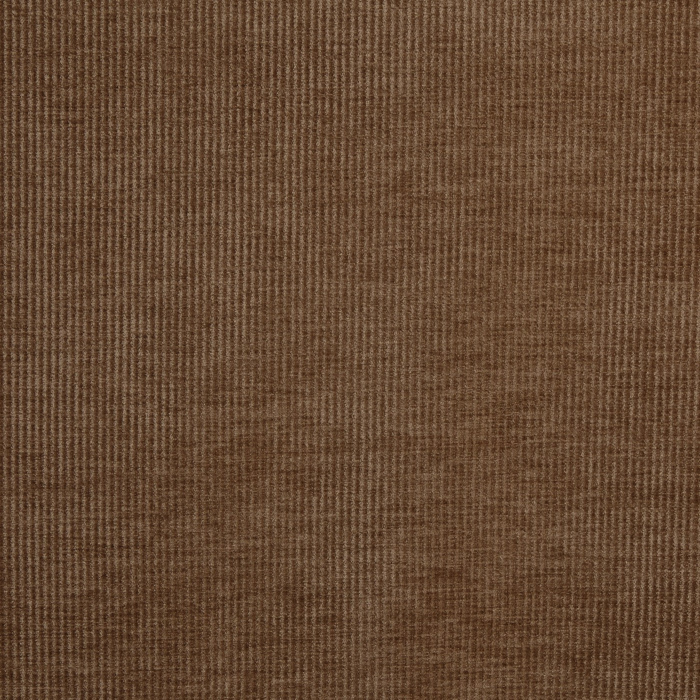 Cord Hazel