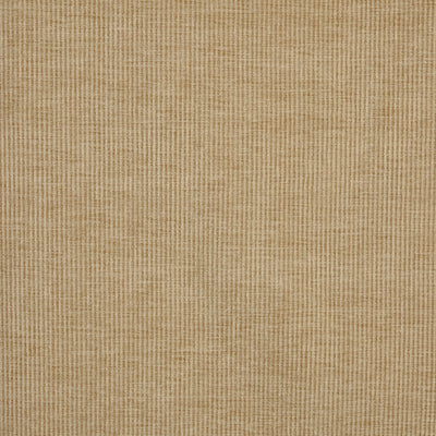 Cord Pampas