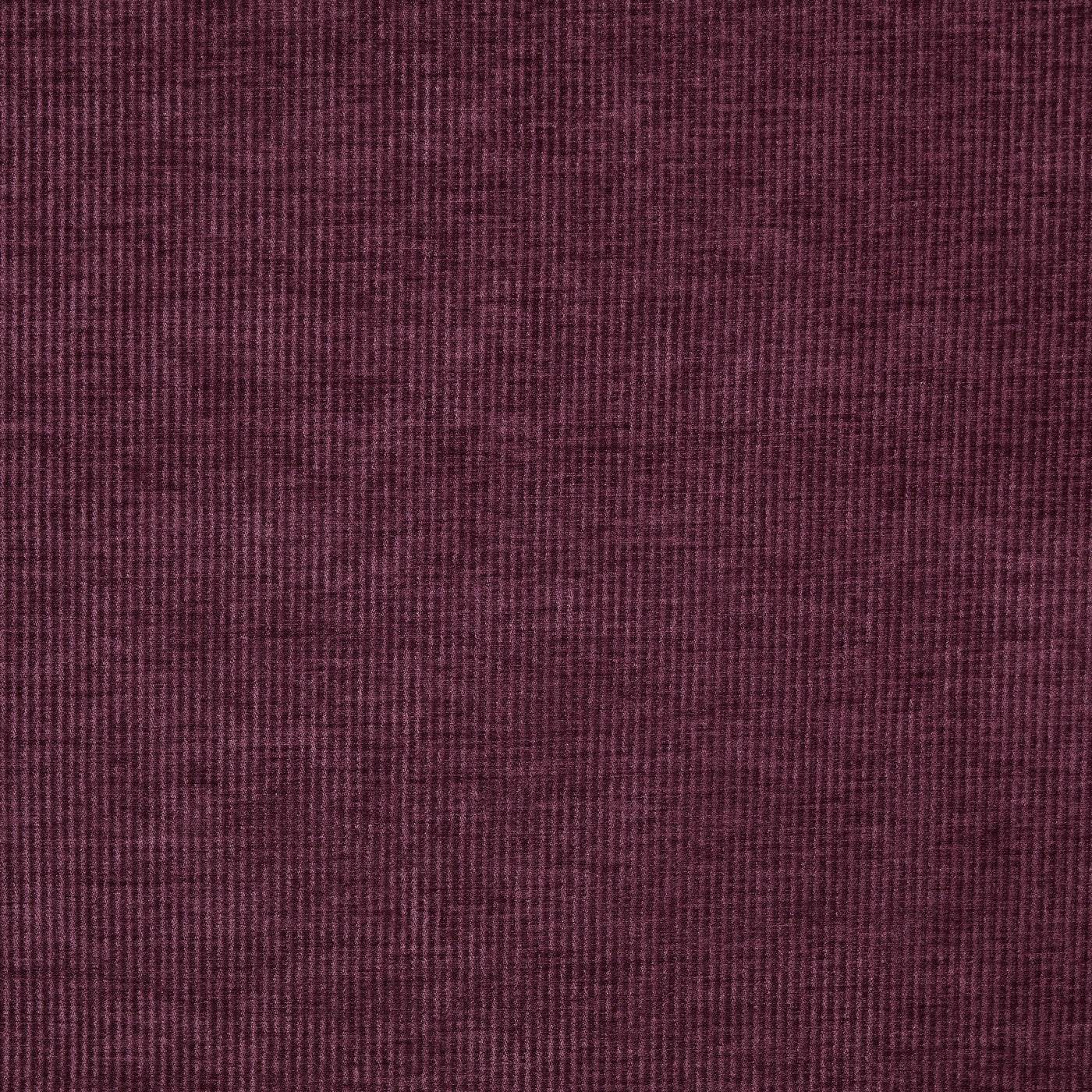 Cord Plum