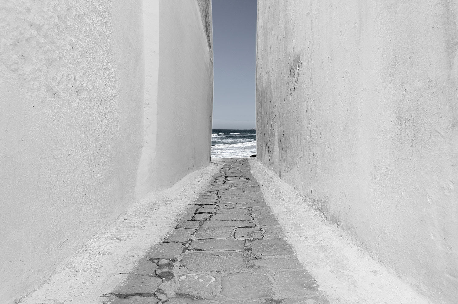 CD 026
