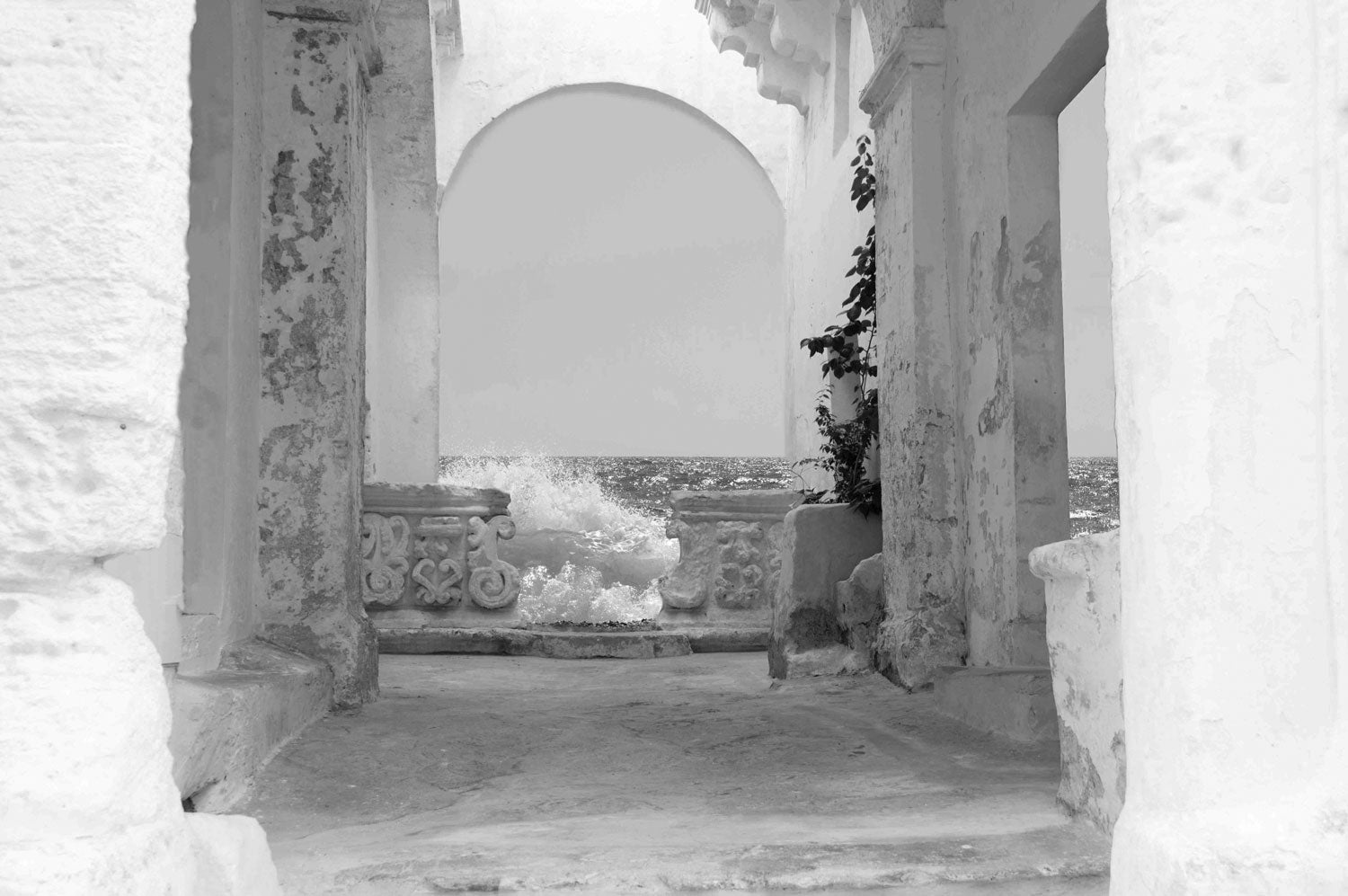 CD 003