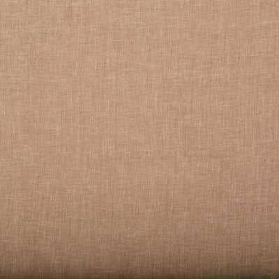 Tuscan Camel