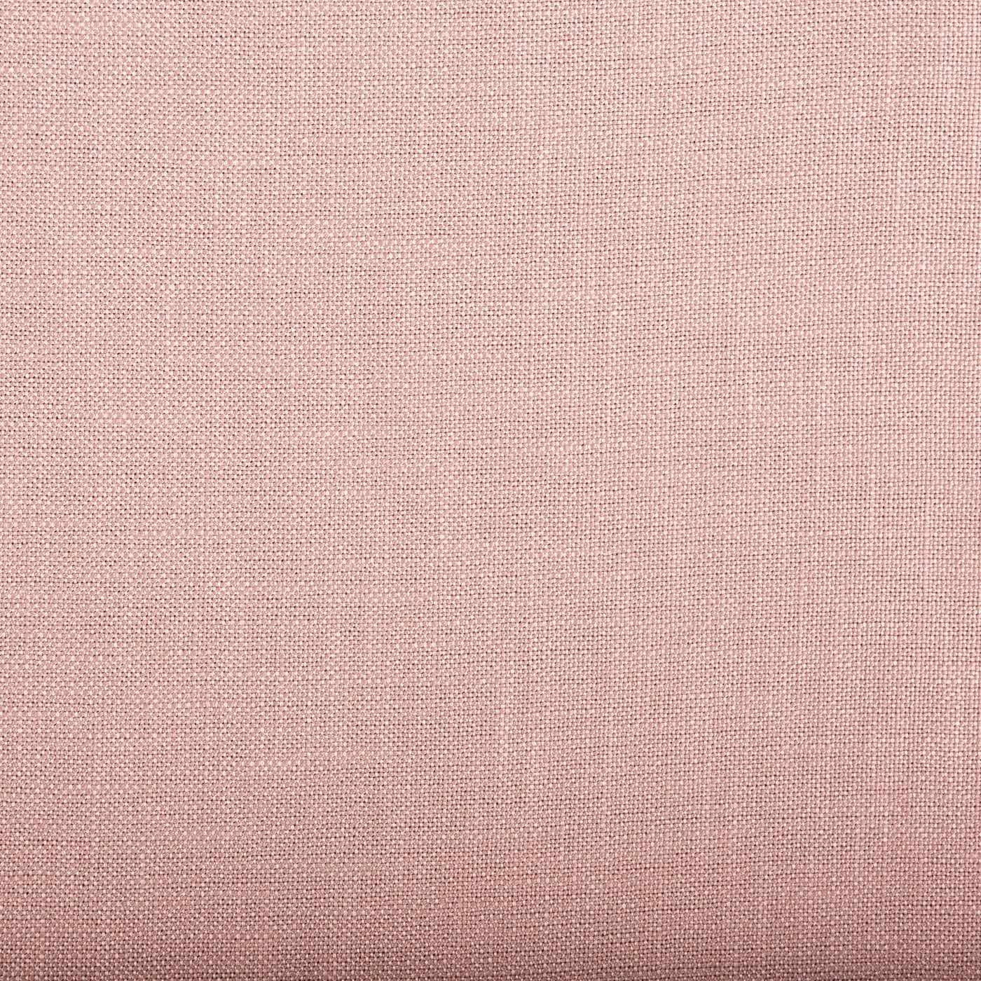 Viking Mauve