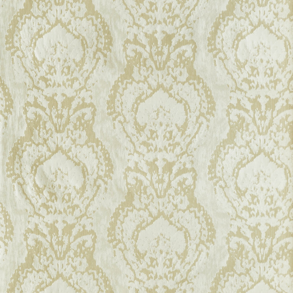 Vignette Calico